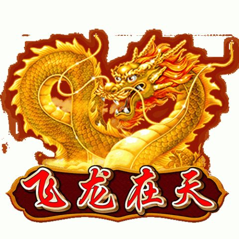 飞龙在天